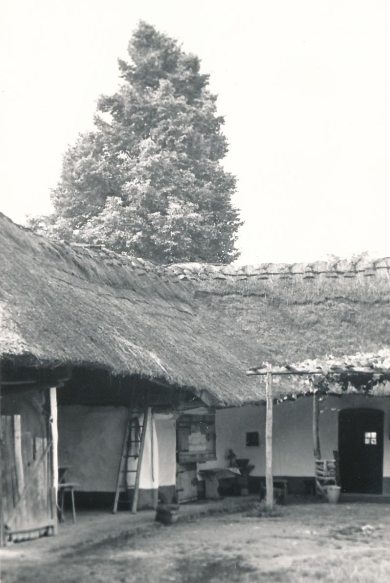 eika image